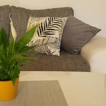 Petra Pekica بولا