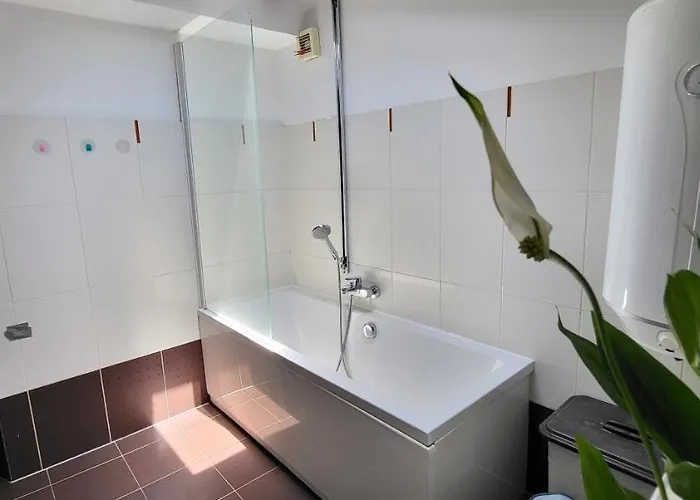 Petra Pekica Пула